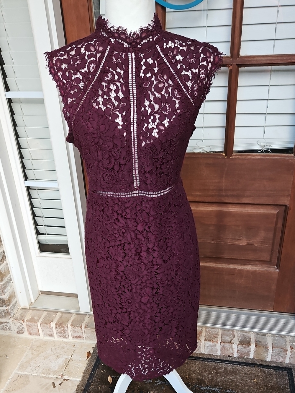 Bardot Fall Lace Panel Women's Sleeveless Lace Cocktail Dress in Purple Eggplant